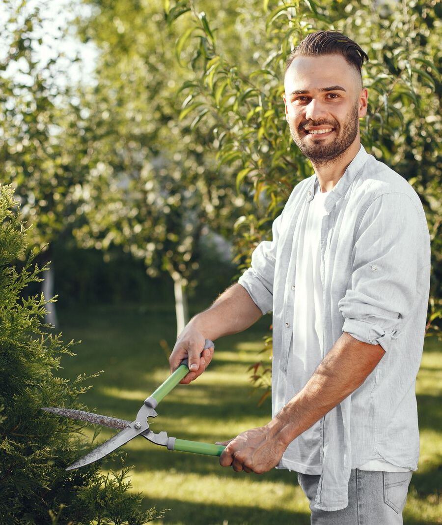 Crew member shaping a hedge with shears
