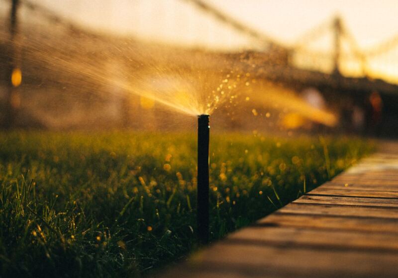 Sprinkler head watering a lawn at sunset