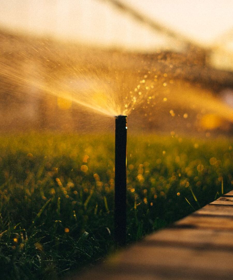 Sprinkler head watering a lawn at sunset