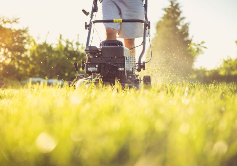 Lawn mower cutting grass in golden evening light