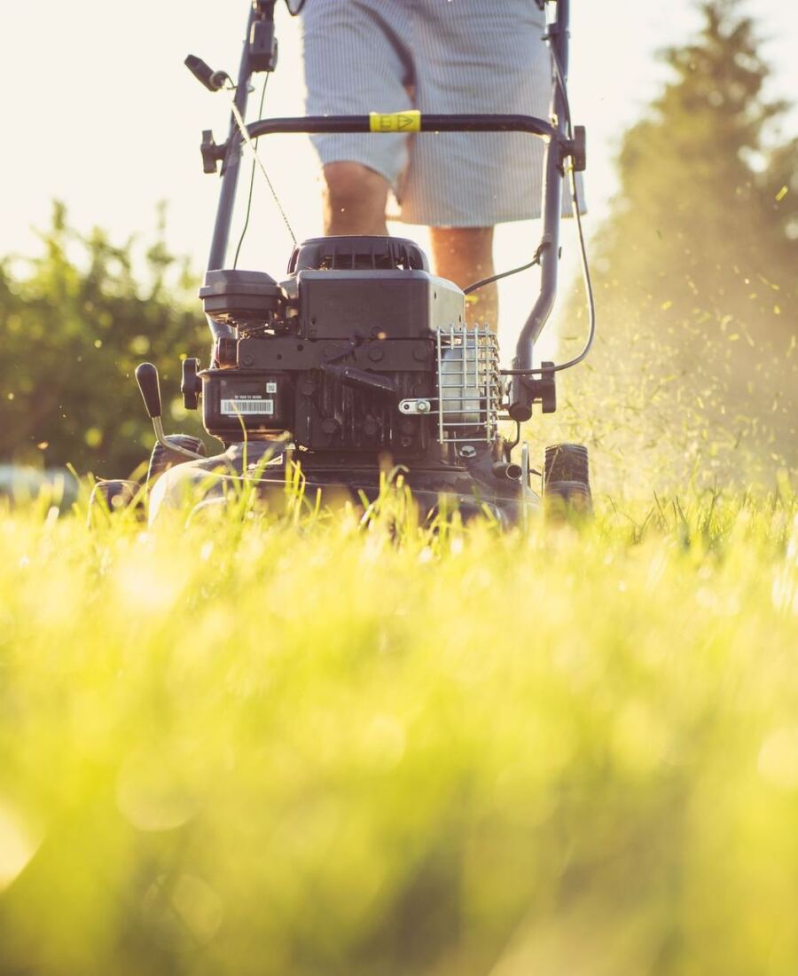 Lawn mower cutting grass in golden evening light