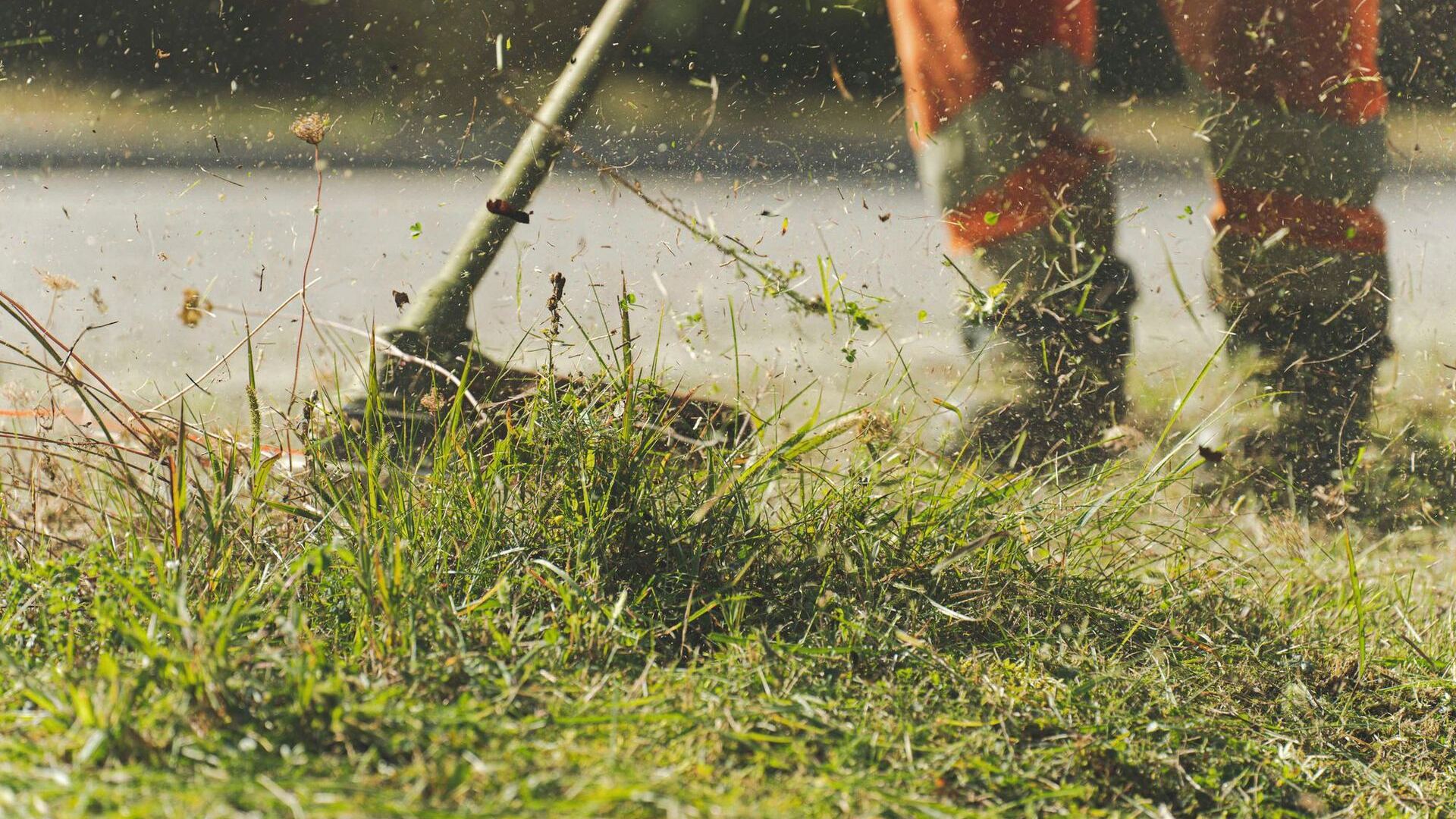 String trimmer clearing overgrown grass