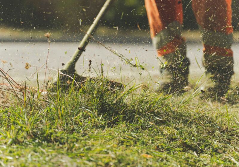 String trimmer clearing overgrown grass