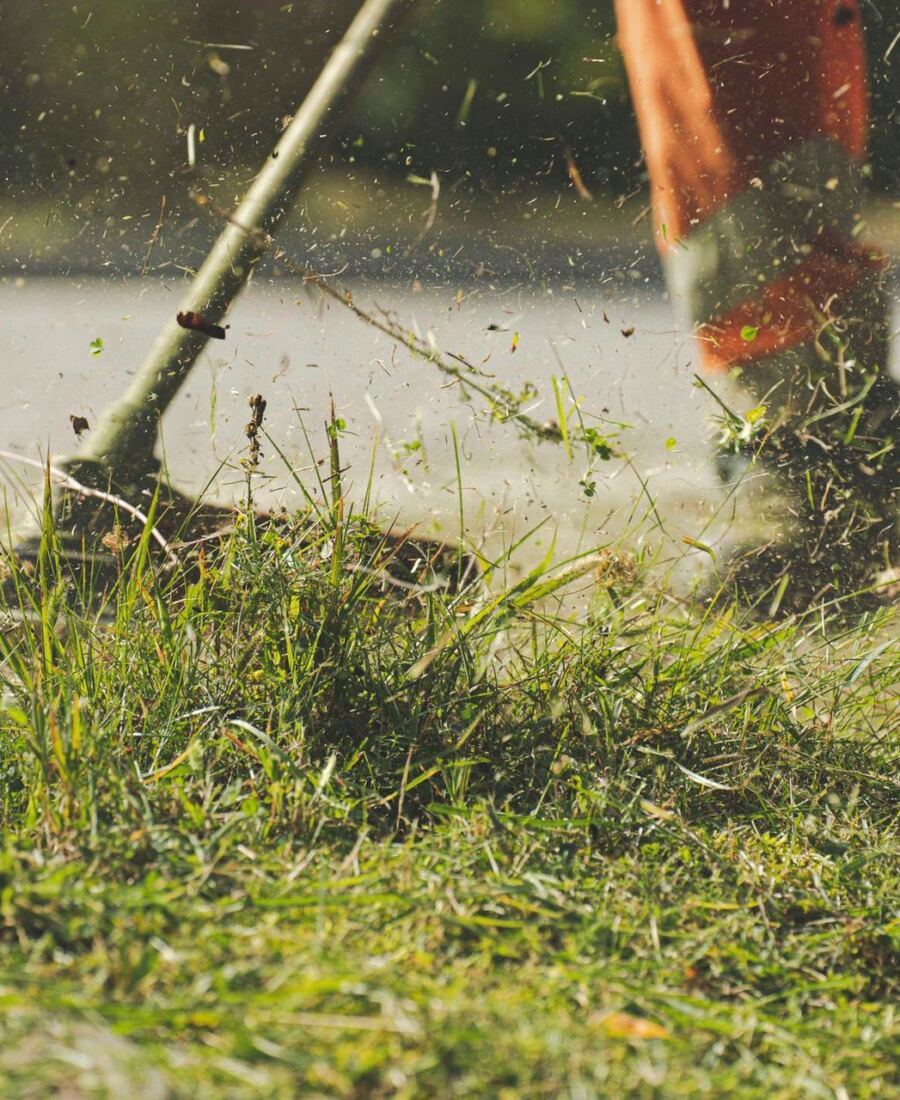 String trimmer clearing overgrown grass